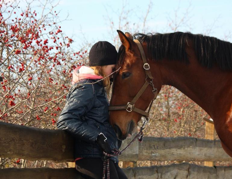 Lindsay Grice, horse and winter, bond with horse, getting most out of winter horse, winter horse riding, riding horses in winter, winter trail riding, winter horse training