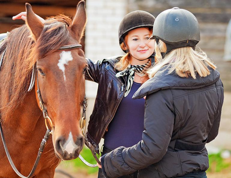 horse industry gossip, gossip horse industry, equine lawyers in canada, horse lawyers canada, karen weslowski