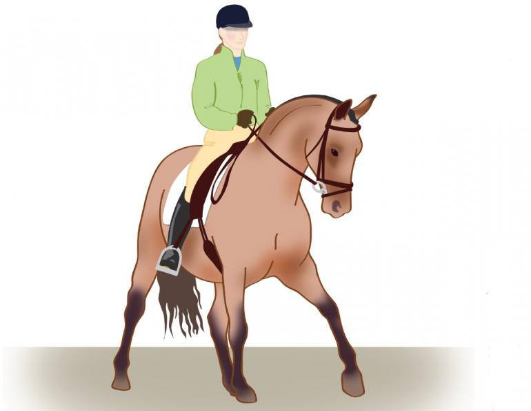 Lee Tubman, equine rhythm, equine balance, equine relaxation, canter leg-yield, impulsion, Canter Half-Pass, Developing Lateral Suppleness Canter