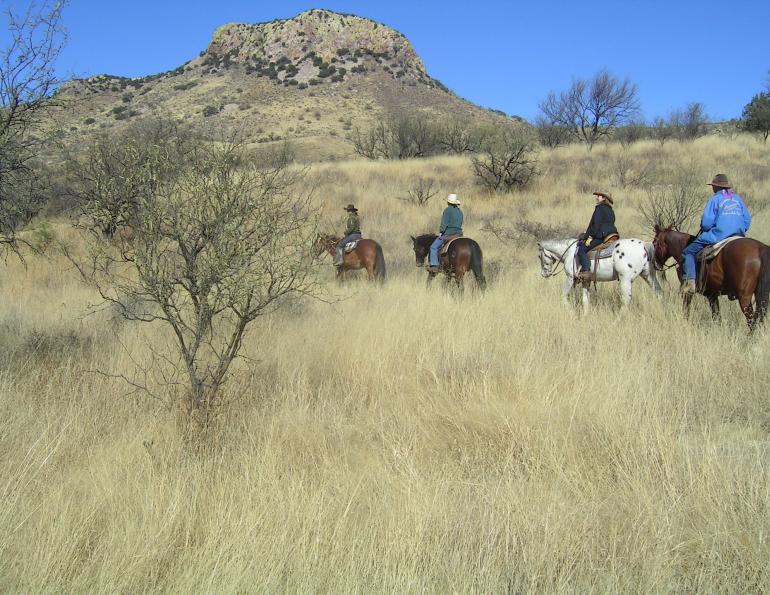 Circle Z Ranch, winter horse holidays, horse rider retreat,