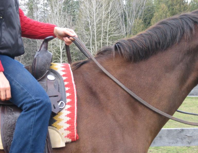 Teaching Your Horse to Neck Rein