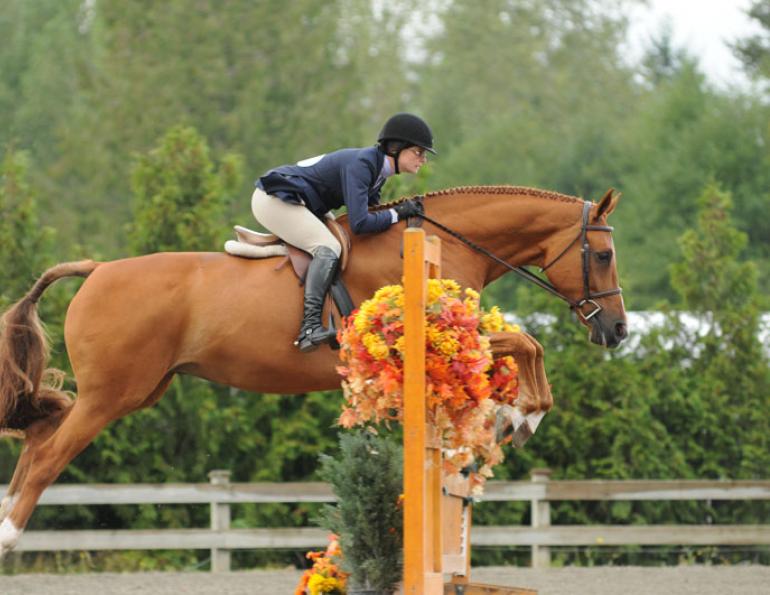 Riding without stirrups, rider position, horse riding, two point trot, two point walk, posting trot, equine sitting trot, riding position