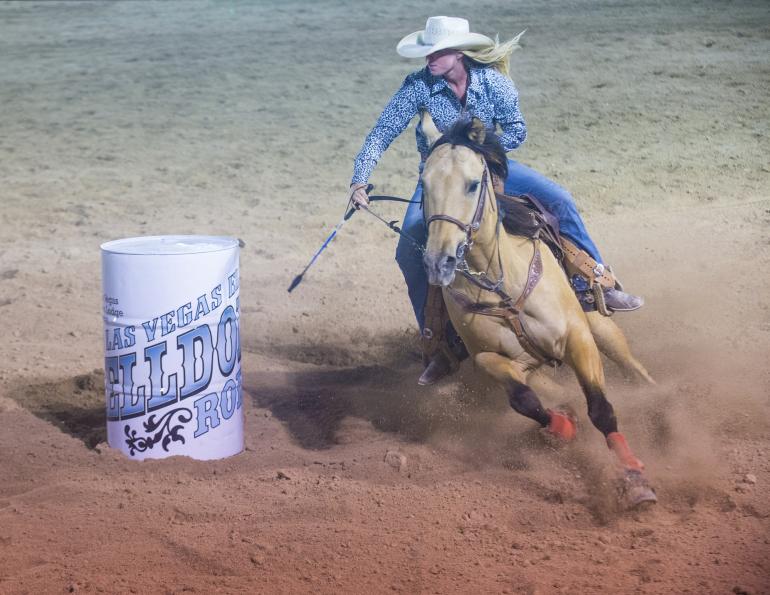 overcoming Equine Lameness, new equine lameness technology, how to rehab lame horse, equine Hyperbaric Oxygen Therapy, Infrared therapy for horses, equine hydrotherapy