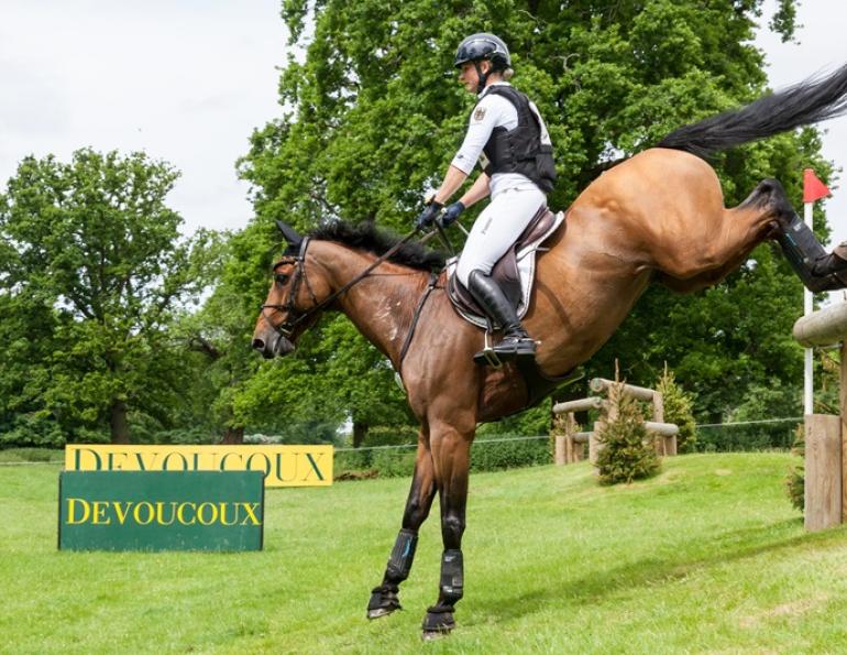 Equine Sports Medicine, eqiune vet Steve Chiasson, DVM, CVMA, What Horses Benefit from Sports Medicine high-performance equine athlete horse chiropractic, equine lameness evaluation, regenerative therapy horses aquatic therapy