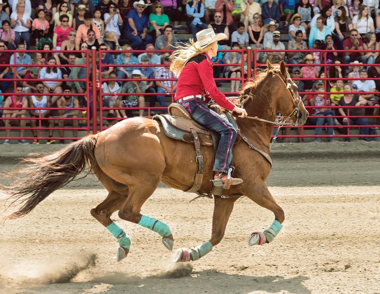 Russell J. Floyd, what is pedal osteitis in horses?, understanding equine pedal osteitis, how common is pedal osteitis in horses?, is pedal osteitis uncommon in horses?, equine pedal bone, how to relieve pedal osteitis pain, clinical signs of pedal osteitis in horses,