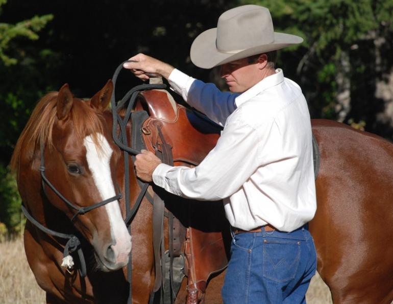 Jonathan Field pushy horse, how do i control my horse, how do i stop bad horse behaviour, horse to behave, hold and wait horse, horse yield