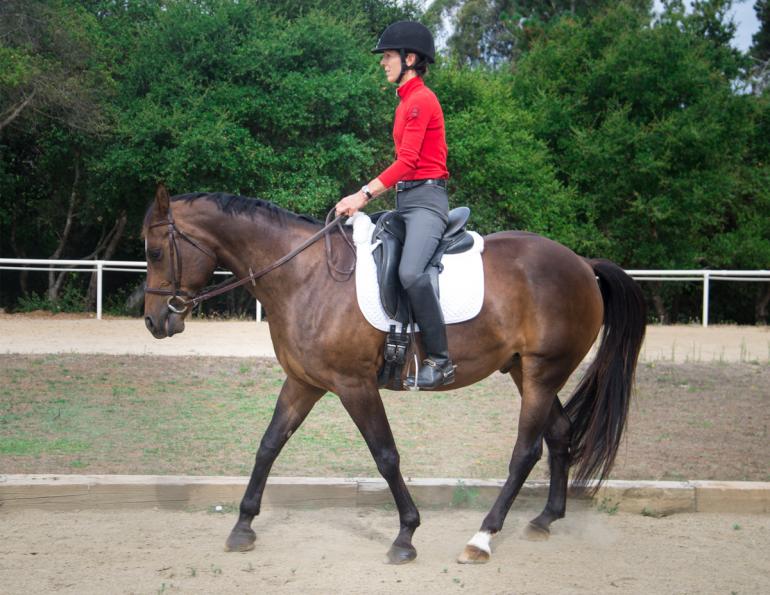 jec ballou, horse exercises, dressage training exercises, walking activities horse, walking equine exercises