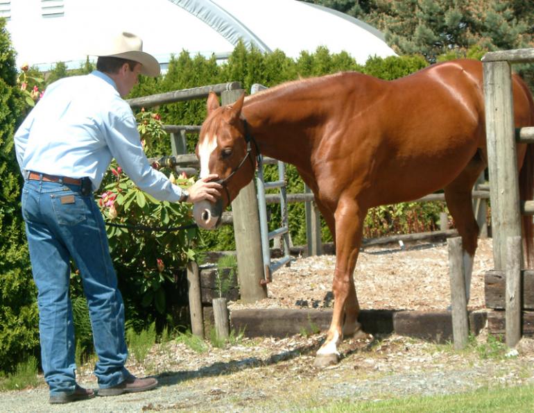 Jonathan Field, fun horse riding, setting horse riding goals, make horse riding fun