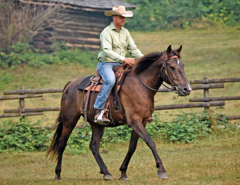 Jonathan Field training tips, how to train young horses, tips on training young horses, how to get the most out of your young horse