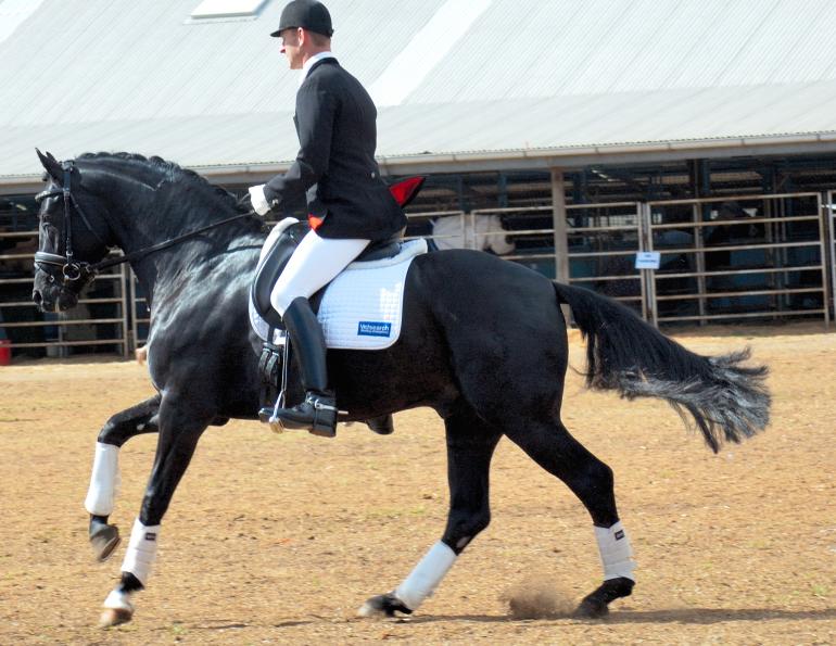 Jane Savoie, Engage Horse’s Hind Legs, connecting half halt horses,