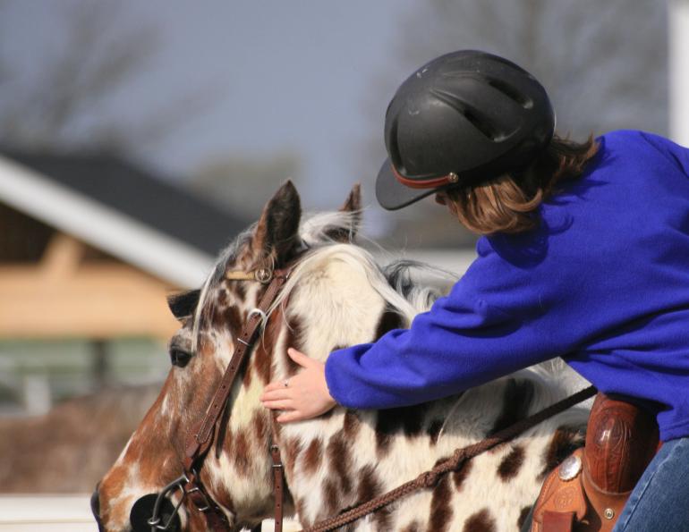 Points on Praise for Horses