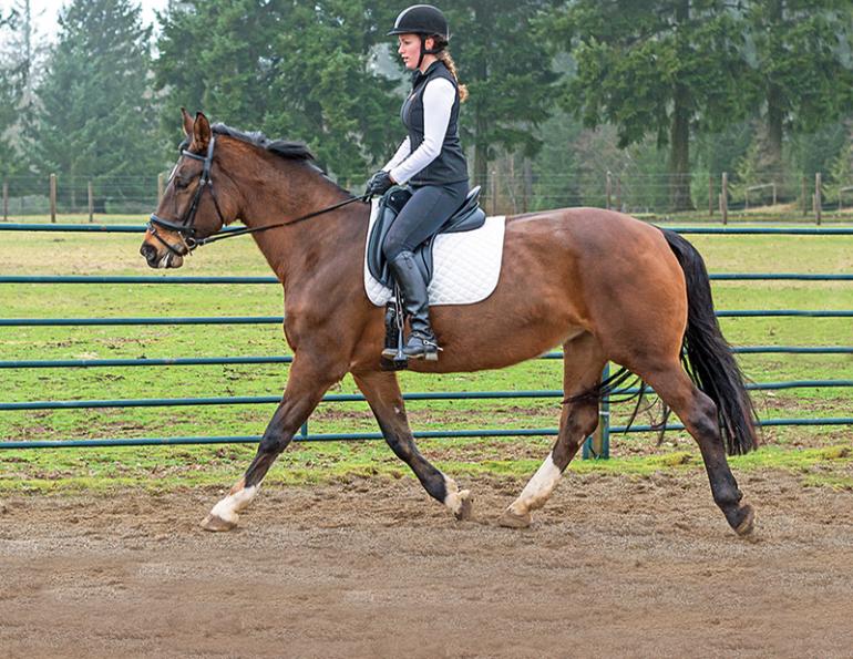 Exercises to Correct Common Riding Faults | Horse Journals