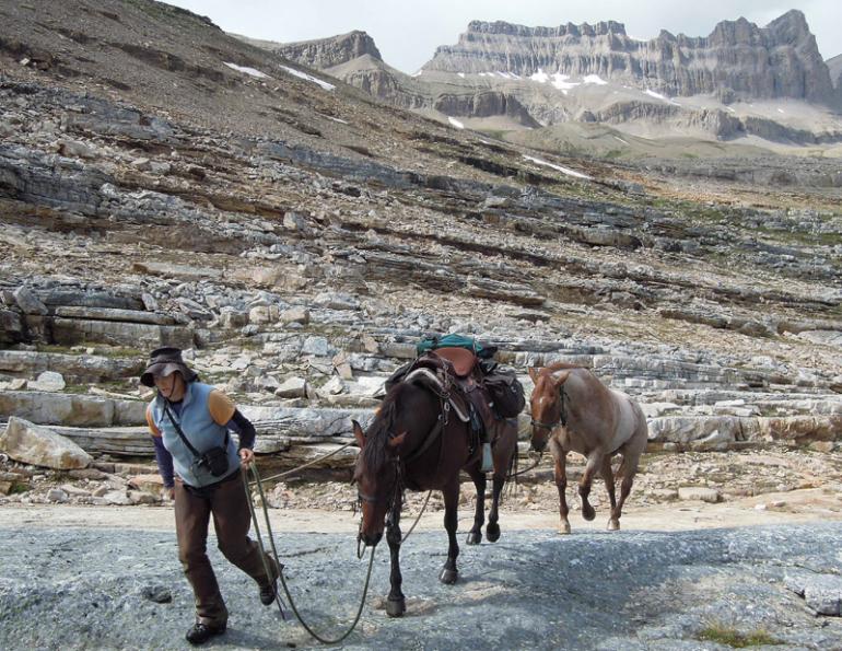 Traversing Canadian Rockies, Tania Millen, holidays on horseback, Alberta pack-trip, Azure Lake, Sulphur River, Jasper National Park, Summit pass, crossing Chown Creek