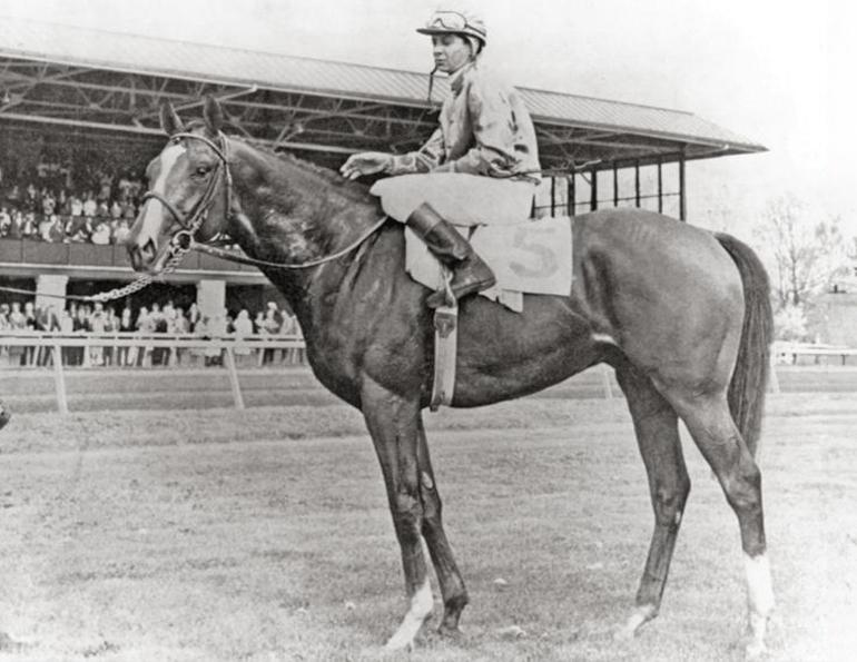 Horse named Northern Dancer, little Canadian horse Northern Dancer, exceptional Canadian horses, iconic Canadian horses, famous horses from Canada, Best horse in Canadian history, Norther Dancer