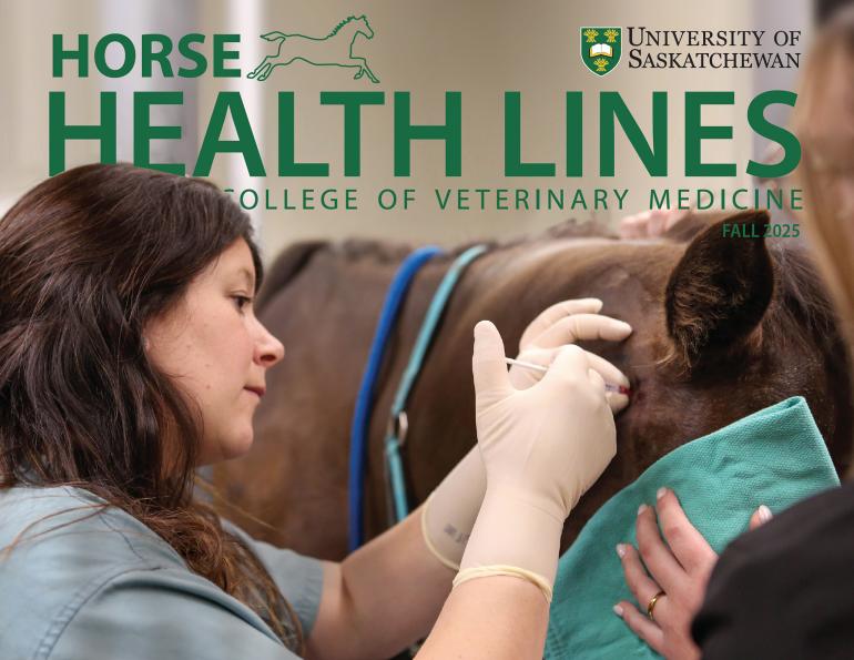 horse health lines canadian horse journal, western college veterinary medicine newsletter, wcvm equine courses, universities for veterinarians equestrians