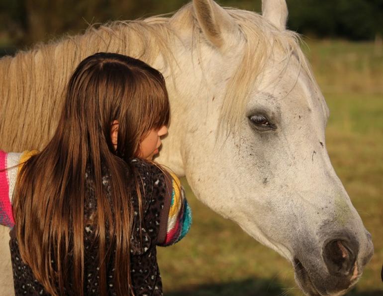 Equine-Facilitated Psychotherapy, horse therapy, equine therapy, Cummings School of Veterinary Medicine, HorsesandHumans