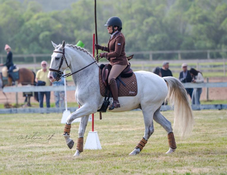 Canadian working equitation rider competing with traditional garrocha during international competitio