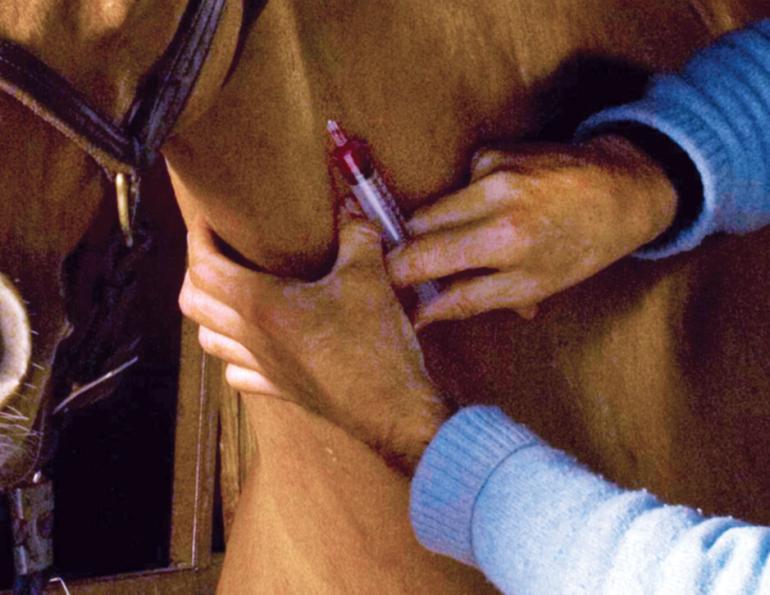 Blood Tests for Life