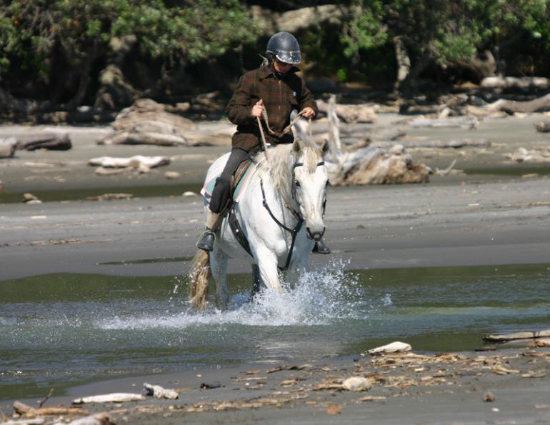 Stan Walchuk, Jr, safe trail riding with horses, horse riding safety, trail riding tips, desensitize horses Stan Walchuk, Jr, safe trail riding with horses, horse riding safety, trail riding tips, desensitize horses
