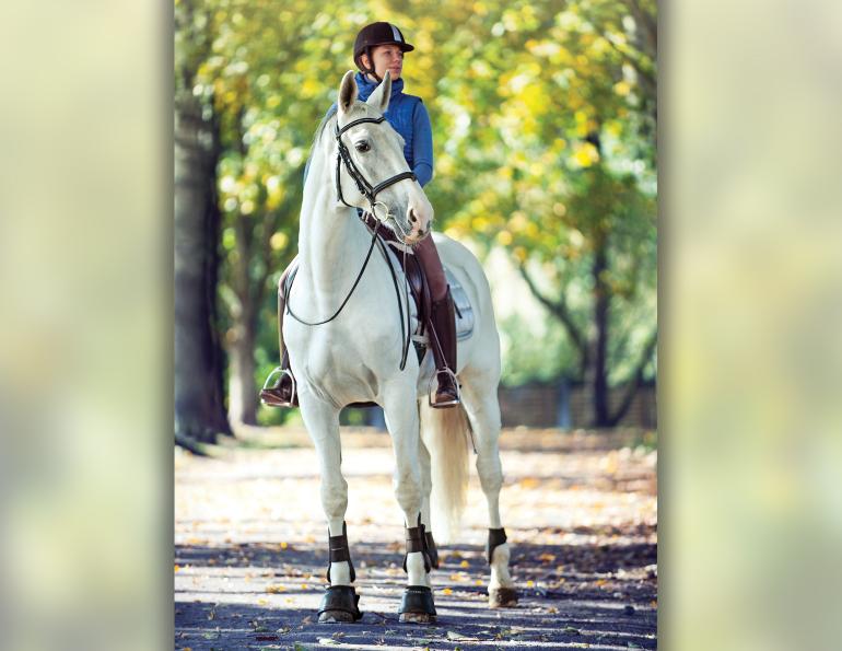 staying calm riding horses, anxiety horse riding, better relationship horse and rider, regulating nervous system Annika McGivern, breathing exercises for horse riders, equestrian psychology