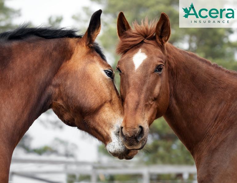 biosecurity horse farm, preventing disease spread horse stable, managing equine property, farm and ranch biosecurity, acera insurance