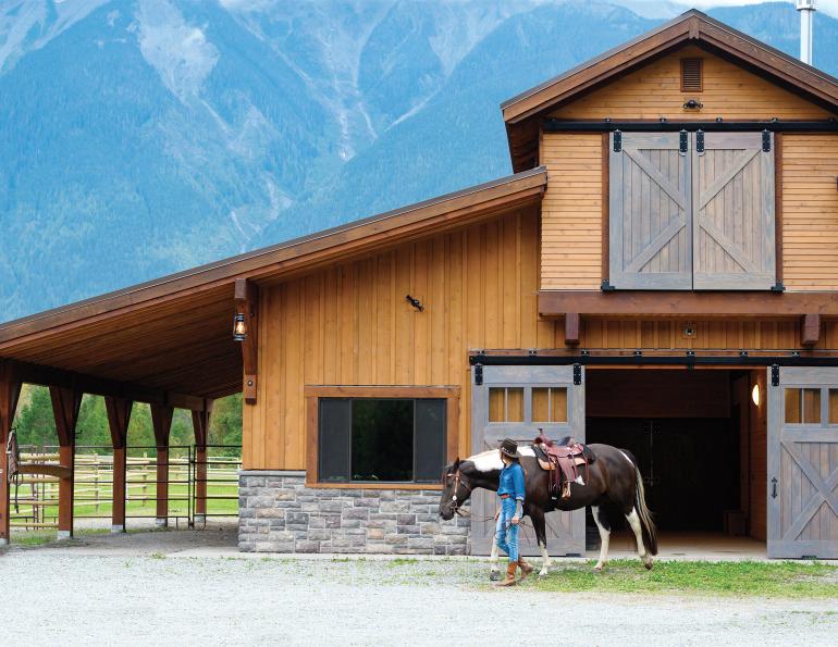 schooling horses, lindsay grice, how to practice for horse show, beginners exercises horse, side pass horse, trail obstacles horses, horsemanship, riding coach