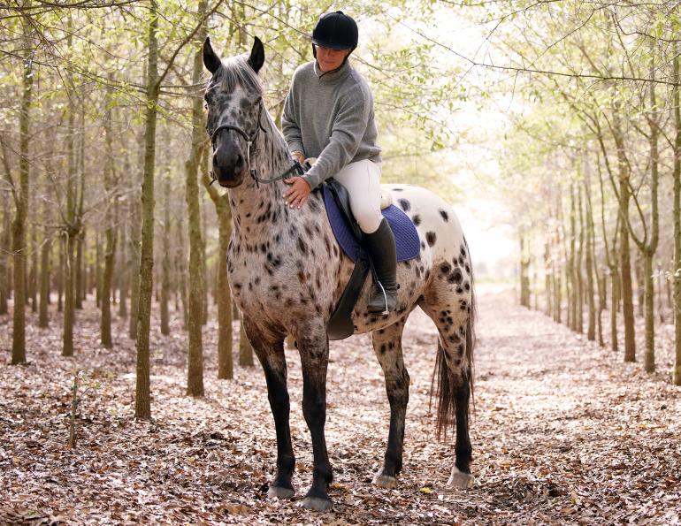 will clinging horse trainer, my horse is anxious, releasing tension horse, riding a spooky horse