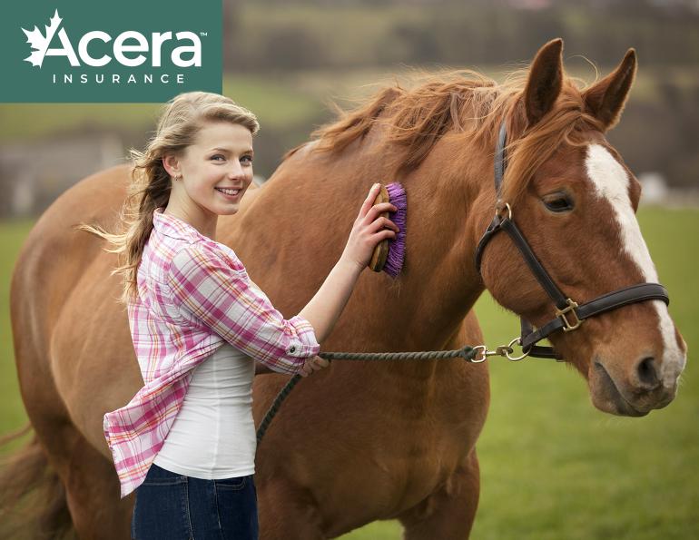 acera insurance, horse insurance canada, Canadian horse industry, horse industry Canada, equestrian Canada statistics, horse population Canada, recreational horse use Canada, sport horses Canada, boarding barns Canada, horse ownership costs Canada, equine industry trends Canada, Ontario horse industry, Alberta horse industry, British Columbia horse industry, Hastings Racecourse closure, horse racing Canada decline, equestrian participation Canada