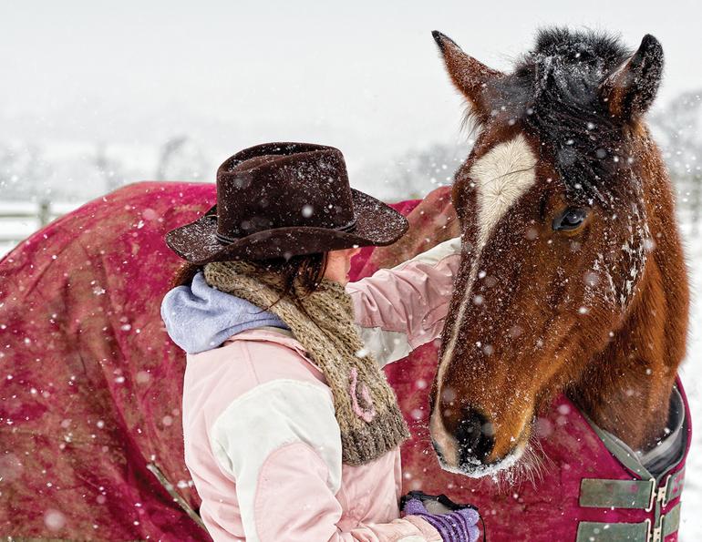 is it okay for a horse to shiver? does a horse need a blanket if it's below freezing? do clipped horses need blankets? can i layer horse blankets? can a horse overheat even if it's freezing? can i blanket a hot sweaty horse? is my horse blanket waterproof? types of horse blankets, rain sheets horses, fly sheets horses, stable blankets horses, turnout sheets horses