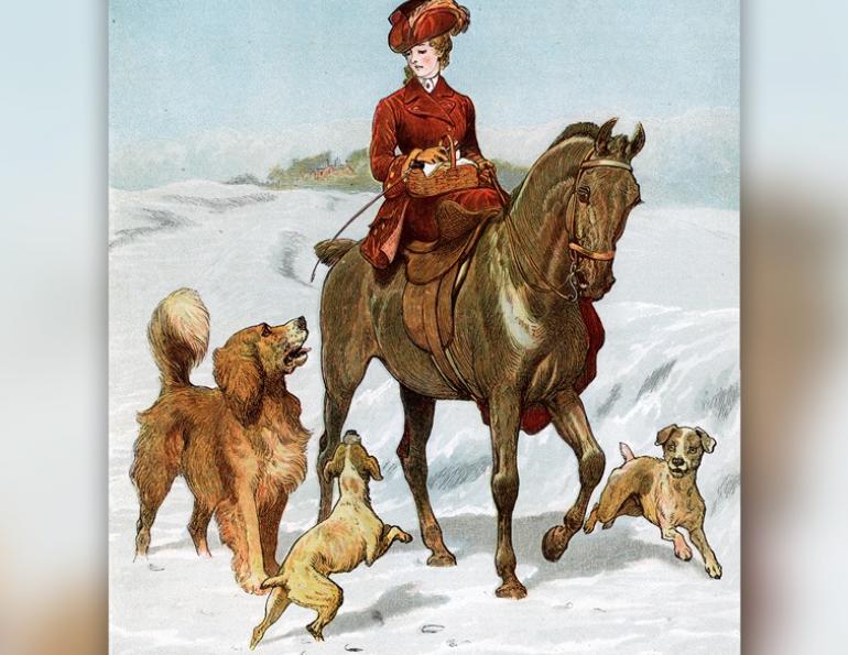 how to ride sidesaddle, sidesaddle makers, sidesaddle clubs, sidesaddle associations, western sidesaddles, english sidesaddles, patricia hardy sidesaddle, robert jenkins malvern saddle, susan bellinger sidesaddle