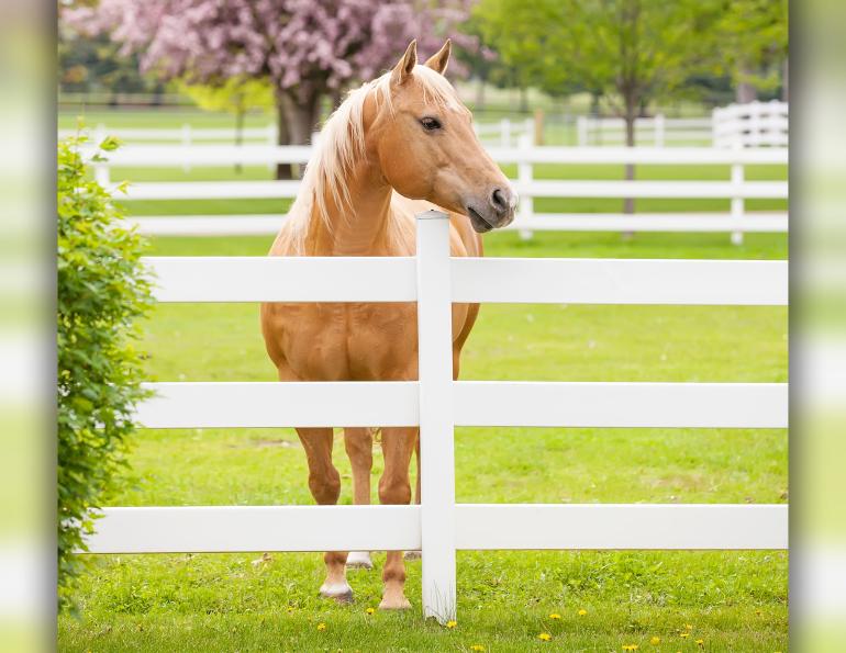 horse fencing basics, horse fence bracing, sturdy horse fence posts, Detailed Single Brace fence Assembly, horse fencing fundamentals, choosing horse fence