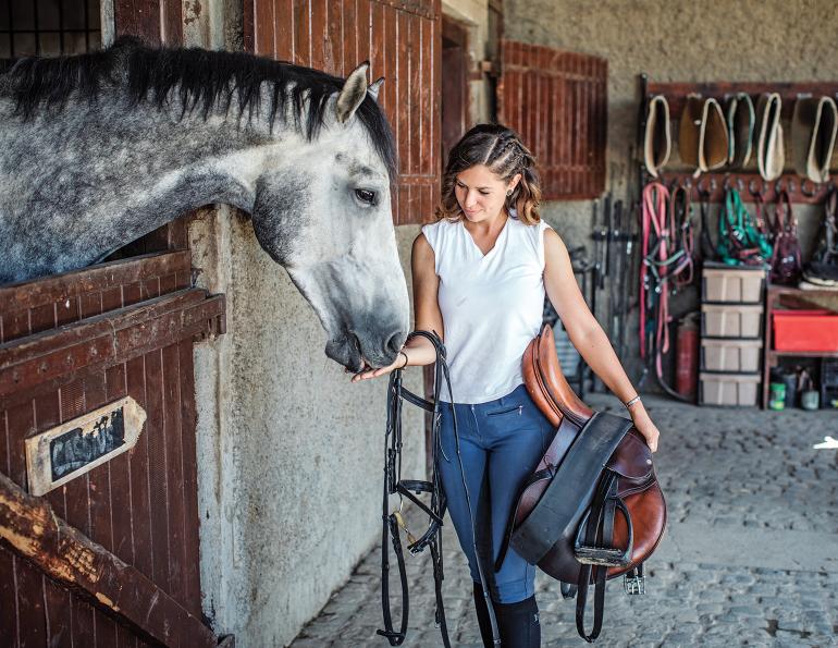 Understanding common legal issues in the horse industry, horse industry legal issues, Understanding warranties in the horse industry, understanding conditions of sale in horse industry, what is the difference between conditions of sale and implied conditions of sale in horse industry, why written contracts are useful in the horse industry, conditions of sale versus implied conditions of sale in horse industry