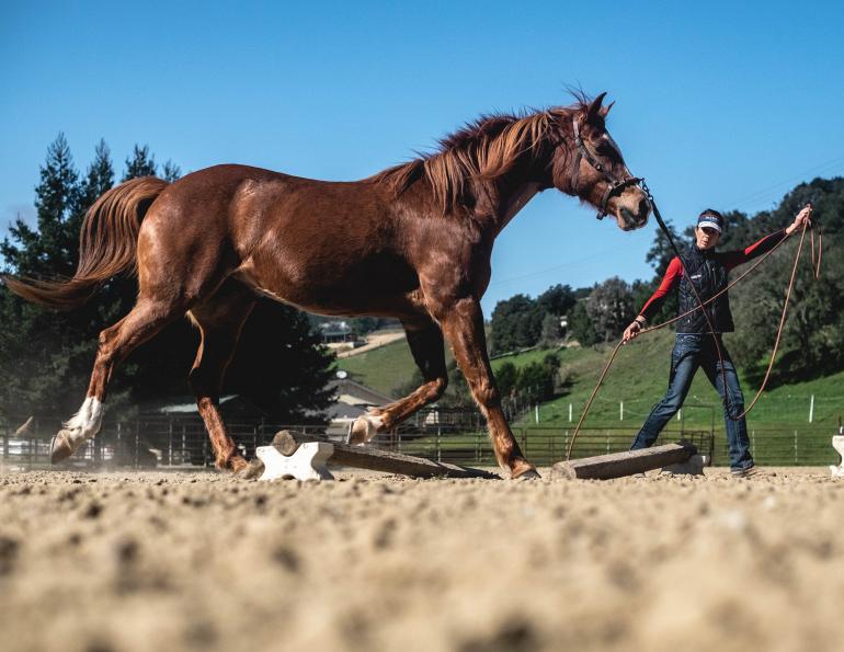 jec ballou online training, jec ballou 30 day core fitness program, jec ballou online courses