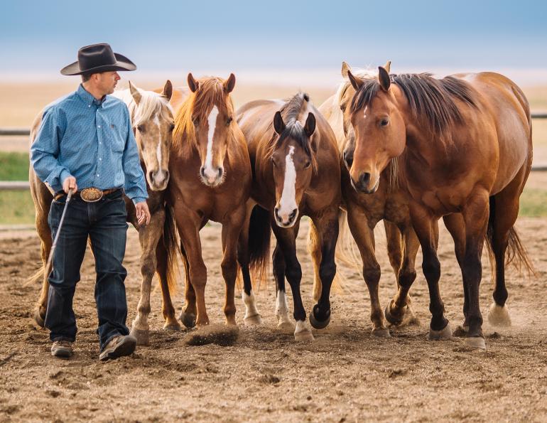 colt starting competition, tania millen, how to start a horse, working with foal, jim anderson higher horsemanship, heart of the horse, niki flundra horse trainer, glenn stewart horse, jill barron horse