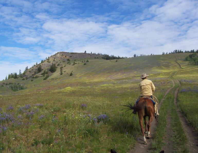 Starting Over with Will Clinging