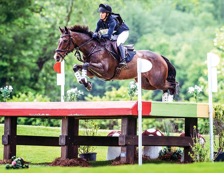 Tina Irwin Working Student Program, Maddy Scott Equestrian Crosby Gold, how to be professional equestrian, successful canadian horse riders