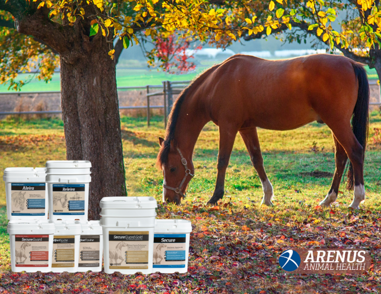 arenus equine nutrition, best equine nutrition products and horse supplements steadfast horse nutrition, colic assurance program arenus, aleira equine nutrition, relaira by arenus
