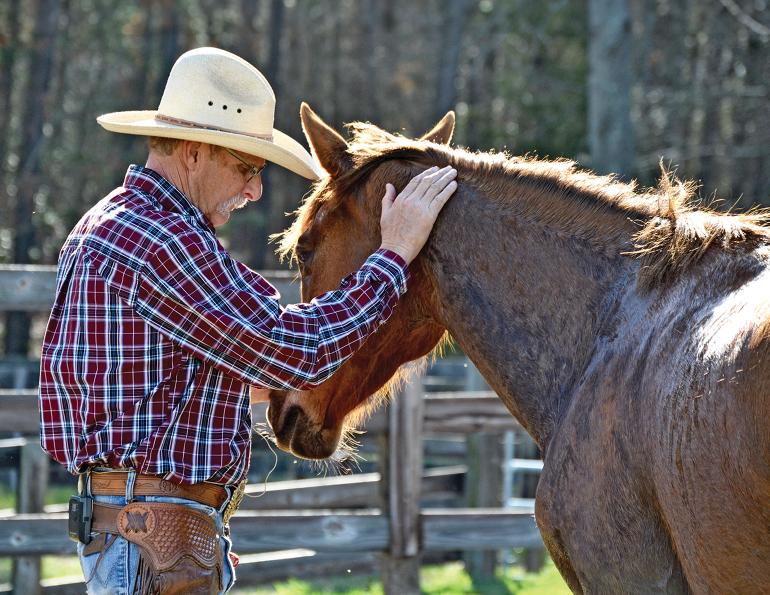 retraining older horses, restarting horses, karen rohlf, warwick schiller, dressage naturally podcast, starting older horse, equine nervous system