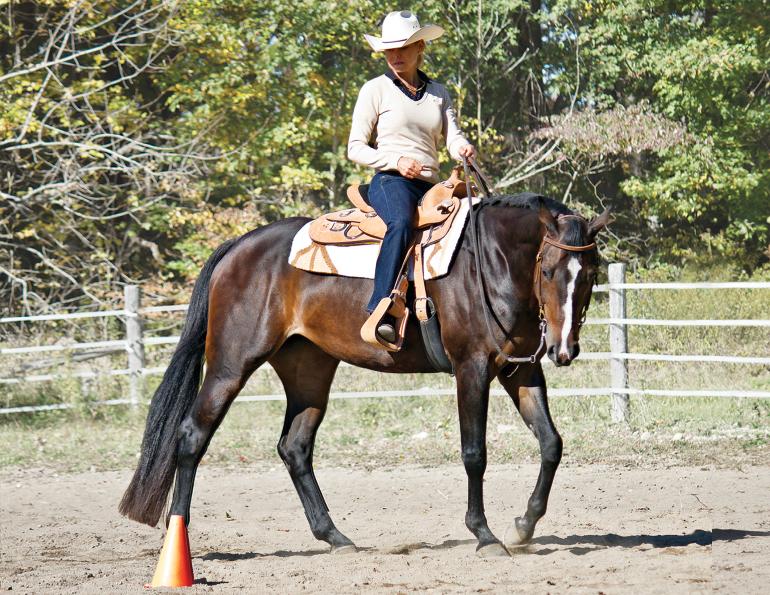 neck reining, what is equine neck reining?, understanding horse neck reining, what bit for my horse?, what are curb bits for horses? Lindsay Grice, what are leverage bits for horses?, understanding horse bits, how to adjust horse reins, Western riding neck reining tips