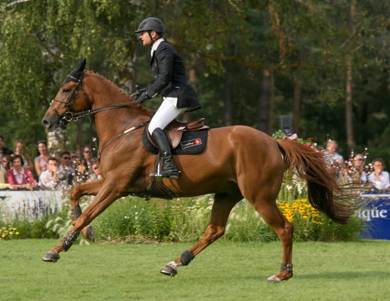 Phedras de Blondel, how to secure horse farm, horse theft, horse slaughter, horse thief, Grand Prix rider Deborah Stephens, 12-year-old CSI**** level show jumper Phedras de Blondel, Harold Metcalfe, Debi Metcalfe, protect your horse, horse meat