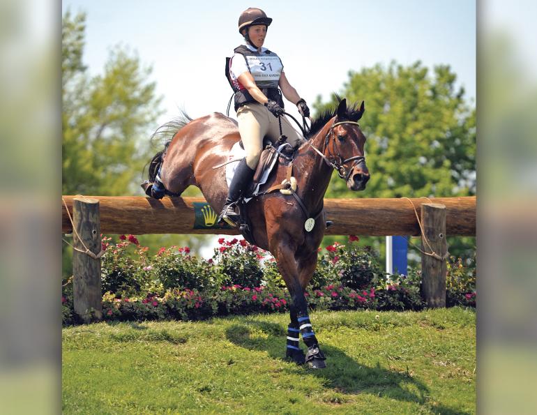 sport horse performance injections, dr. william hodge veterinarian, treatments for horse joints, pain horses, pain meds horses, adequan, cartrophen vet, legend