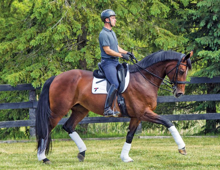 pilates for horse people, equestrian pilates, exercises for stronger horse riding, sandra verda zanata fit to ride, physical strength for horse riding