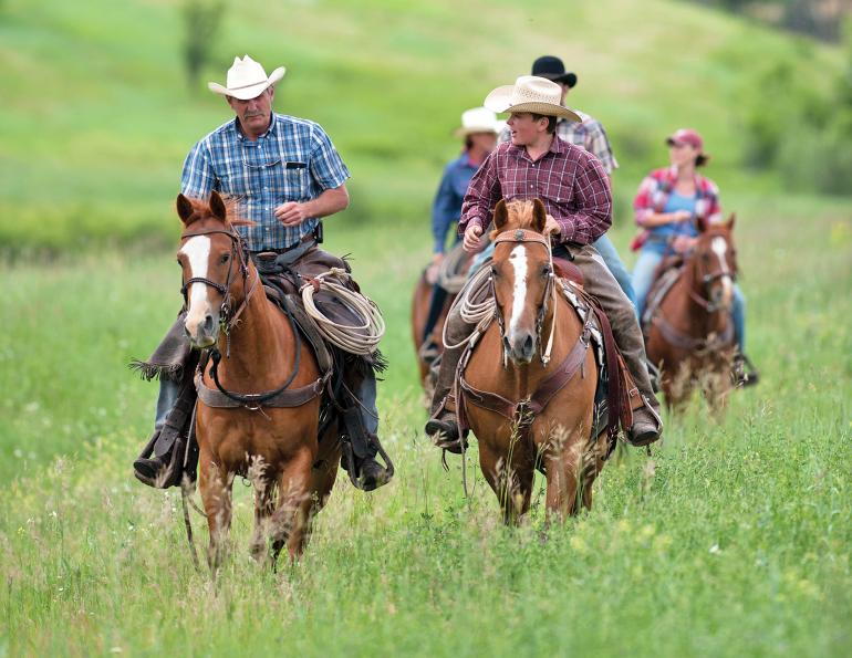 Senior horse under saddle demonstrating the benefits of consistent exercise for maintaining fitness, mobility, and soundness.