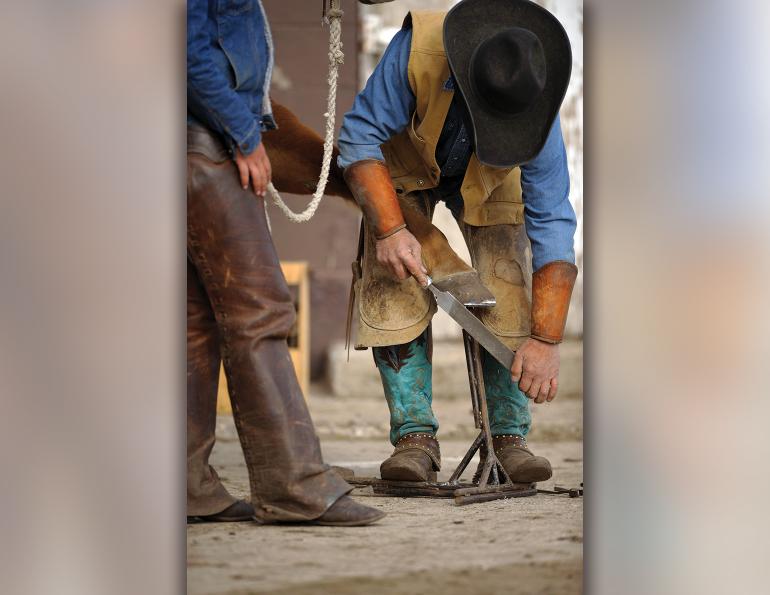 farrier competition, farriers competing at competition, how to find a good farrier, certified farriers canada, farrier association, western canadian farriers assocaition, ontario farriers association, american farriers association