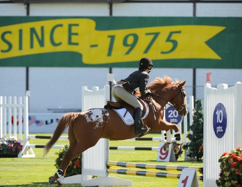 Horse rider back support, horse rider fitness, horse rider daily exercises, horse rider upper body strength