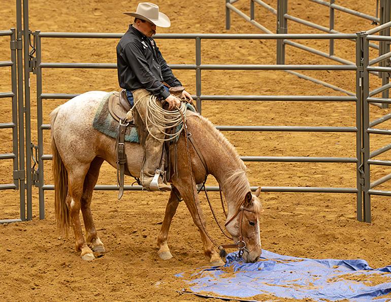 road to the horse 2025, march 2025 road to the horse, winner of the 2025 road to the horse, tik maynard champion, what is road to the horse?