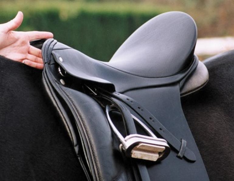 horse saddle fit, properly fitting saddle, how to tell if my saddle fits, does my saddle fit correctly? schleese, saddlefit4life