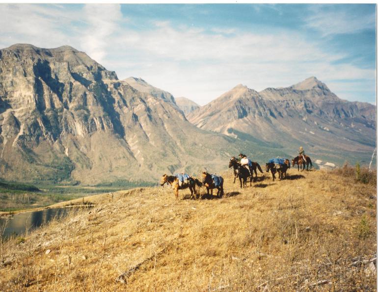 Stan Walchuk Jr, Four More Trail Knots, trail riding rope knot, trail riding tips, trail riding safety, Bowline, horse trail riding, tying horse trail knots 