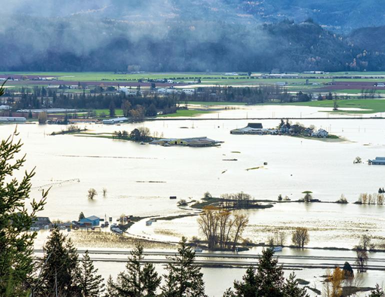bc flooding horses, rescuing horses disaster, helicopter horse rescue, climate change horse industry, lytton fire horses, merrit bc horses farms flooding