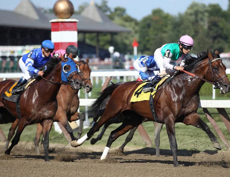 exercise-induced pulmonary hemorrhage thoroughbreds, horses eiph, ontario veterinary college equine studies